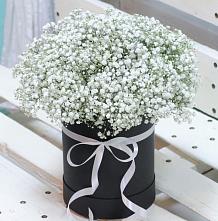 Цветочная композиция из Гипсофила в шляпной коробке #REPLACE_PRED# Незлобной