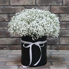 Цветочная композиция из Гипсофила в шляпной коробке в Незлобной