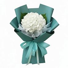 Букет цветов из:  Гортензия в Незлобной